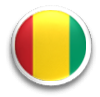 guinea-flag